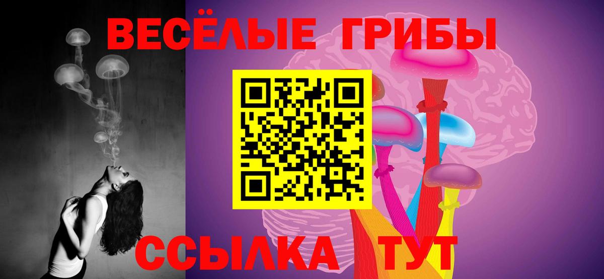 Галлюциногенные грибы мухоморы  Вход с VPN  Дубна 